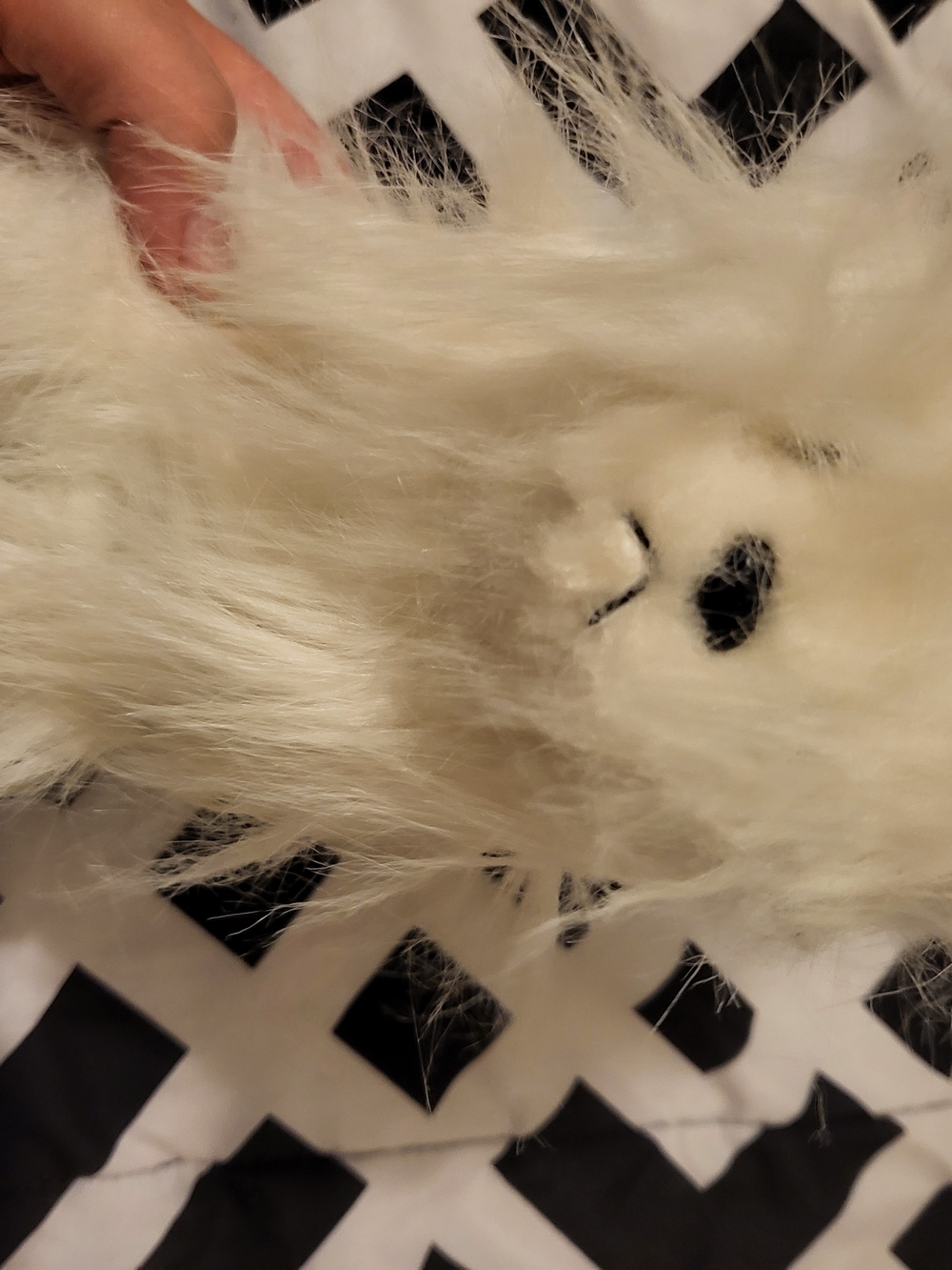 Webkinz Yorkie With Code Plush